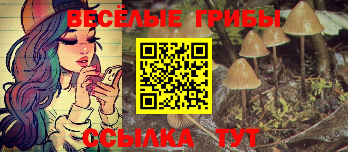 Псилоцибиновые грибы GOLDEN TEACHER  Псилоцибиновые грибы Psilocybine cubensis  Киселёвск  Вход с VPN 