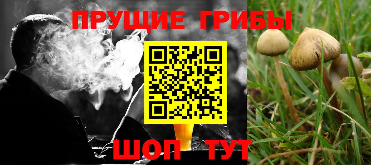 Галлюциногенные грибы мухоморы Киселёвск